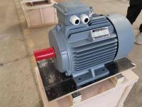 Motor elétrico personalizado de ímã permanente de 132kw 150kw para a extrusora plástica