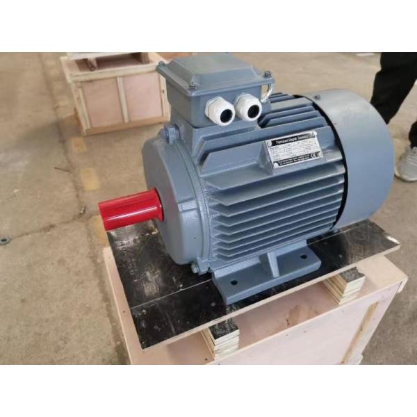 Подгонянный электрический двигатель постоянного магнита 132kw 150kw для пластикового штрангпресса