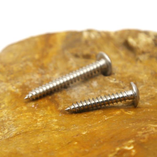 Stainless steel self-tapping screws customized