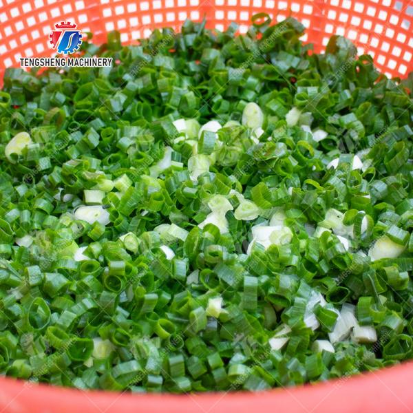 Chili Potato Carrot Taro Sweet potato Yam watermelon Hami Melon cucumber towel gourd balsam pear winter melon Desktop Vegetable Cutter Cutting processing production Supplying Machine