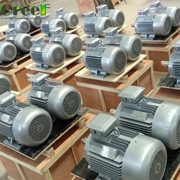 Customized Magnet Size speed Permanent Magnet Generator 500Vdc
