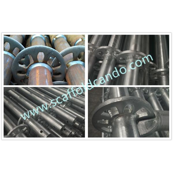 Q345B Q235 Ringlock standards verticals for ringlock scaffolding system 500mm,1000mm,1500mm,2000mm,2500mm,3000mmL