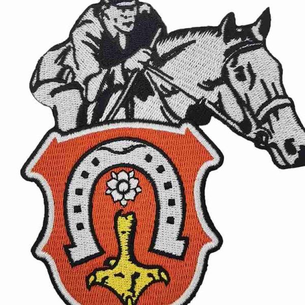 PMS Colors 100 Embroidered Sports Team Patches Sew On Backing