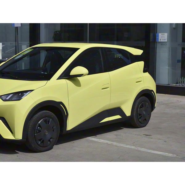Compact BYD Electric Cars with 6- and Advanced Features