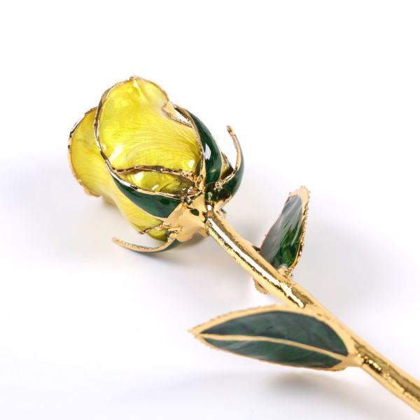 24K Gold-plated Rose Flowers From the Source Factory, 24K Eternal Flower Hot Sales, Qixi Festival Valentine's Day Gift