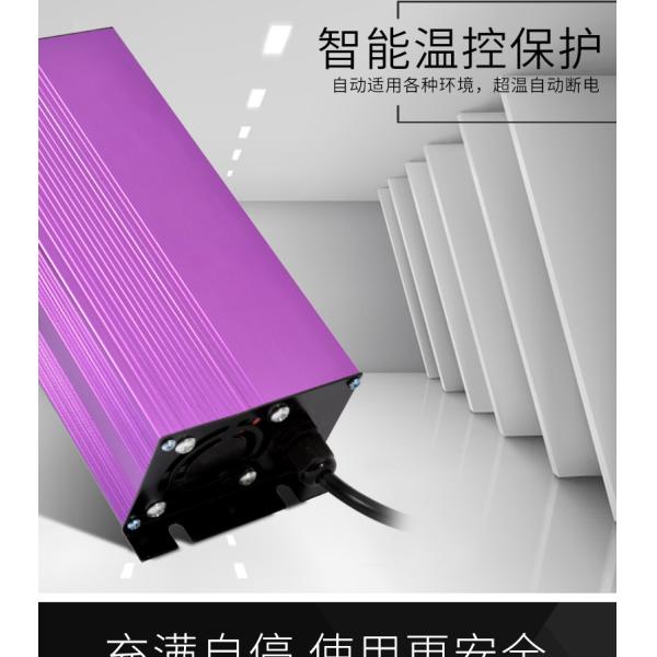 заряжатели батареи 10A Li-иона лития 12v 24v 36v 48v автоматические умные 7A 5A 4A