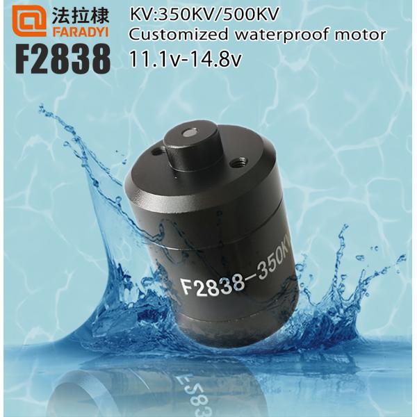 Низкоскоростной высокий мотор 12V 24V 300W низкий Rpm Dc вращающего момента для фена для волос