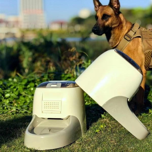 Formation au travail avec les parfums Aliments automatiques pour animaux de compagnie intelligents Fermeture de sécurité pour enfants Application de contrôle de la lumière UV