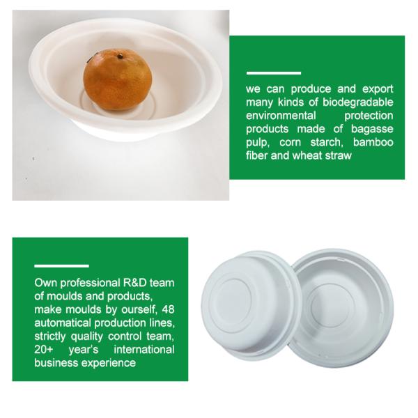 Устранимые Compostable шары с крышками прессформа пульпы багассы 16 шаров бумаги Oz