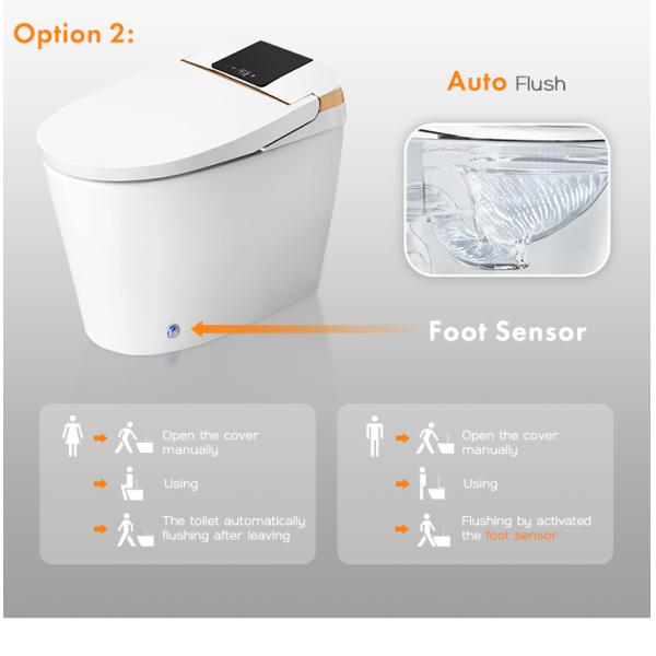 Туалет роскошного биде Wc датчика Bathroom электрического автоматического полного умный умный