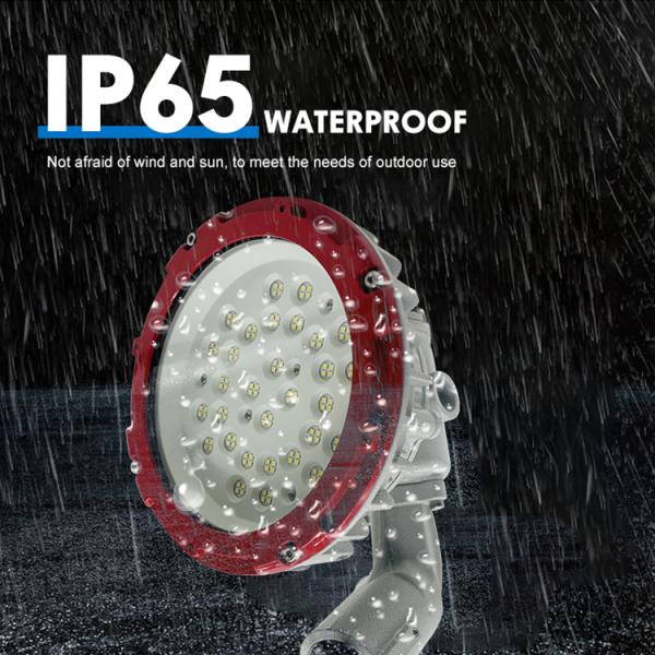 50 Вт 60 Вт 70 Вт взрывозащитные светильники Алюминиевые лампы ATEX