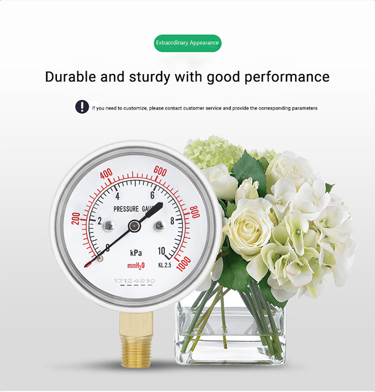 2.5 inch diaphragm micro air pressure manometer with 16KPa outlet pressure gauge made