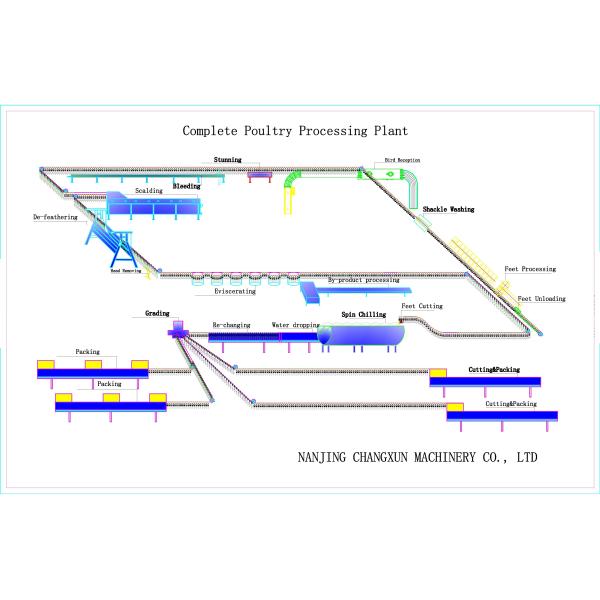 Высокопроизводительное оборудование для убоя курицы халяль с индивидуальной конфигурацией