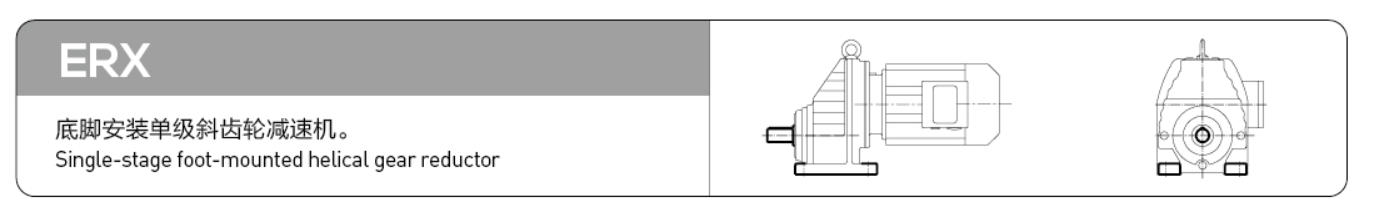 ERX Series Inline Helical Gear Motor