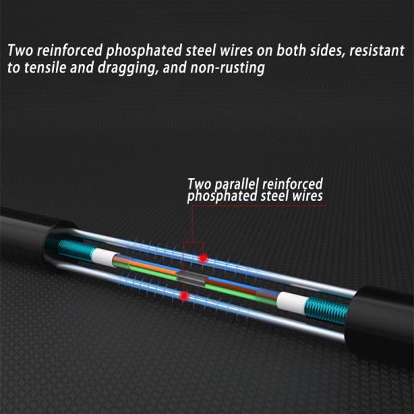 Single Mode G652D Armored 6 Core Cable Central Loose Tube GYXTW