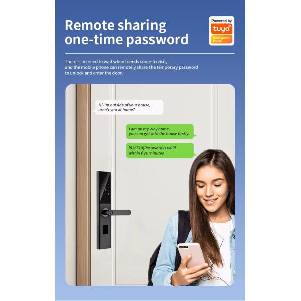 Код RFID IC-карта Смартфонный приложение Разблокировать биометрический отпечаток пальца Умный замок Туя Умный Wi-Fi Цифровой дверной замок
