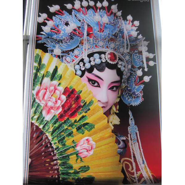 3.2m  A Starjet double side inkjet Printer With High Speed for flex banner