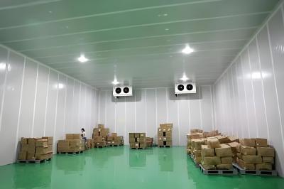 Sliding Door / Swing Door Freezer Cold Room -18.C To -25.C Temp Range