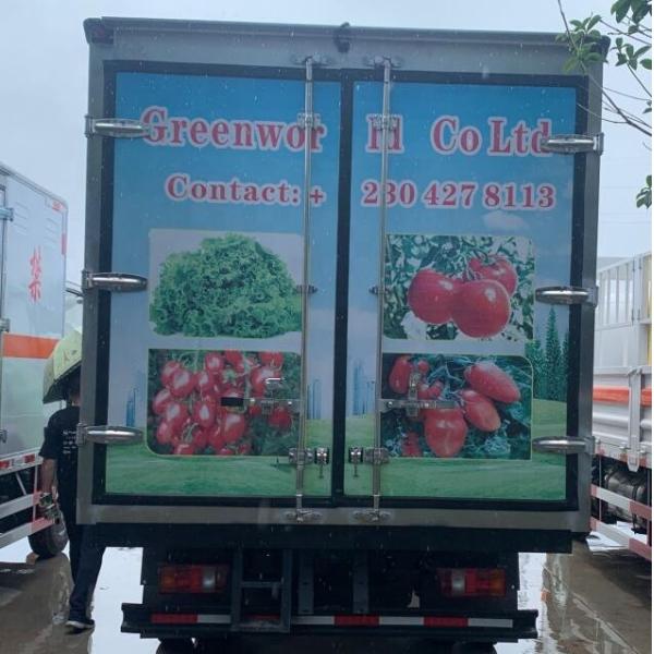 light duty reliable HOWO 4x2 85 hp 3 ton meat reefer truck