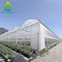 Agricultura Estufas de plástico Polytunnel Estufas de framboesa