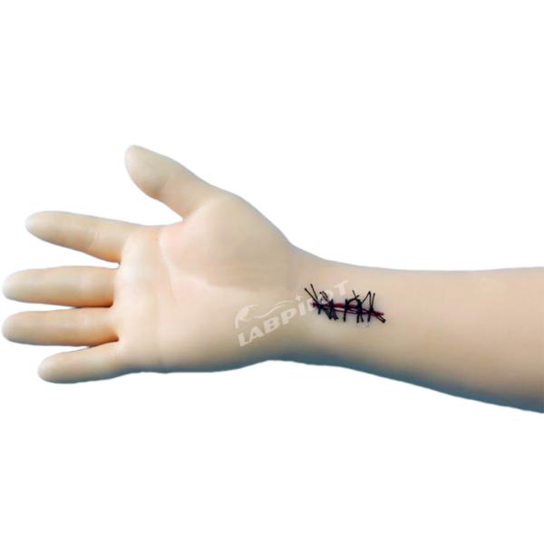 Medical Science Advanced Surgical Suture Training Arm for Professional Development