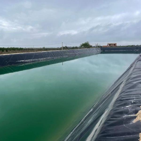 High Density Polyethylene Geomembrane for Waterproof Projects 1mm Thickness 2m-8m Width