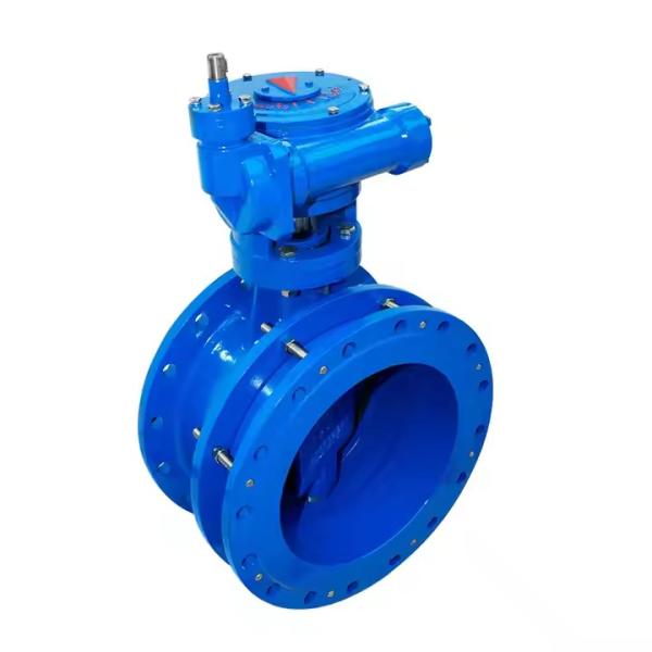 OEM Manual Double Eccentric Flanged Butterfly Valve EPDM Seat PN16 Turbine Cast Steel