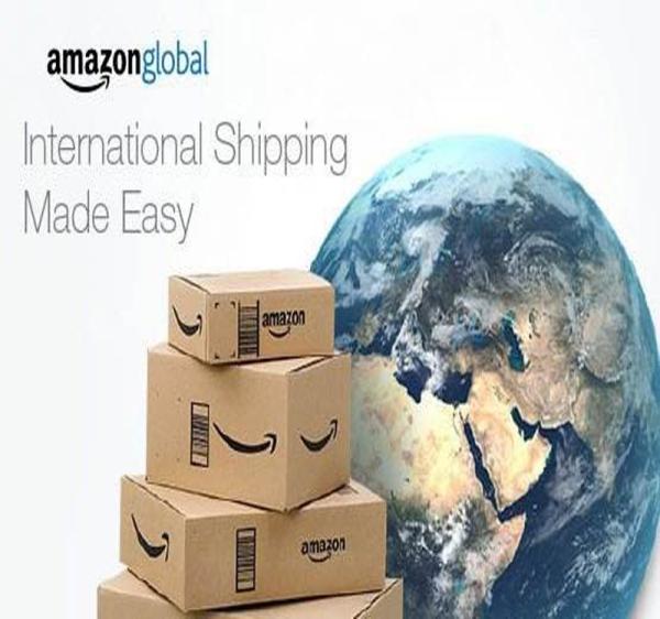 Shenzhen - Rotterdam Freight Forwarding Business , Ocean Freight Forwarder