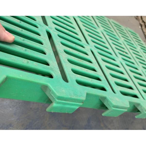 Plastique fort de porcs d'équipement de ferme de porc parquetant beaucoup résistance à la corrosion de couleur