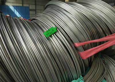 Da tubulação inoxidável da bobina de ASTM A269 TP304 316L os VAGABUNDOS de superfície sem emenda de Exw terminam laminado
