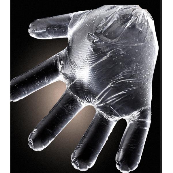 Protective Extra Large Disposable Poly Gloves Powder Free  Easy Donning