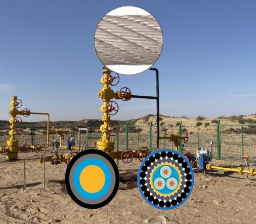 316 Alloy Oilfield Cable with Pressure Sealed Conduit