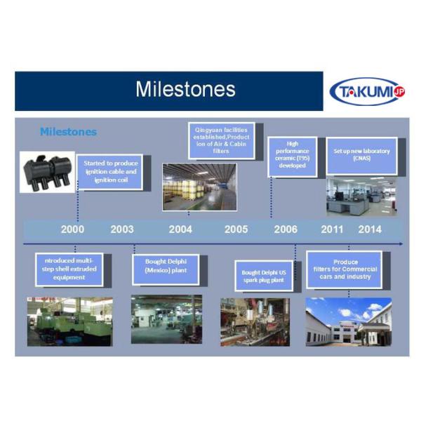 Совпадение для Jenbacher P7.1 V5 351000 P7.1 V6 382195 Генератор Сверкатель Использование для двигателей J312GS J316GS J320GS