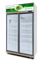 Enfriamiento rápido E del refrigerador comercial vertical de cristal bajo de la bebida del arreglo para requisitos particulares