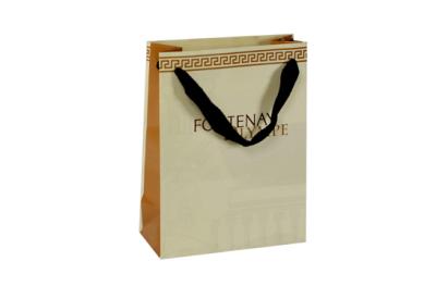 Carrier paper bag 01
