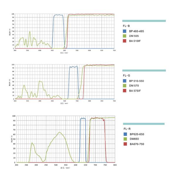 Research Scientific Full Auto Motorized Opto-Edu Binocular Biological Microscope A12.1095