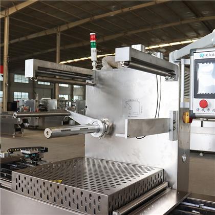 4800*850*2000mm Automatic Thermoforming Vacuum Packing Machine for Cheese Products