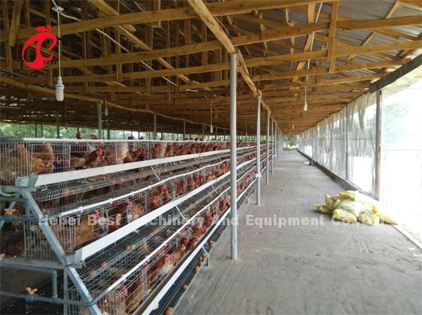 Тип ручной яйцекладки курицы птицеводческая клетка Эмили