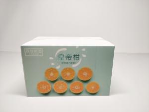 L'anti fruit de moule a ridé les boîtes de rangement en plastique imperméables