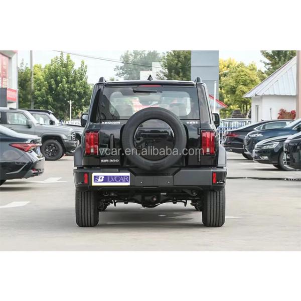 Desbloquee su potencial comercial con el tanque de 5 asientos 300 ESC incluido