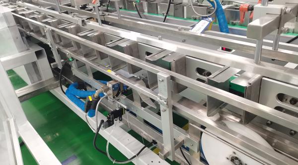 Automatic Vertical Cartoner Machine Servo Feeding Ice Cream Cartoning Machine With Low Temperature Handling