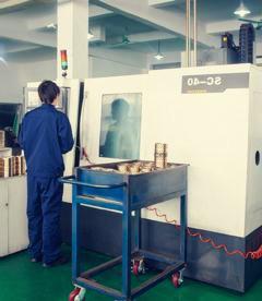 JIAXING VIIPLUS INTERNATIO NAL CO.,LTD