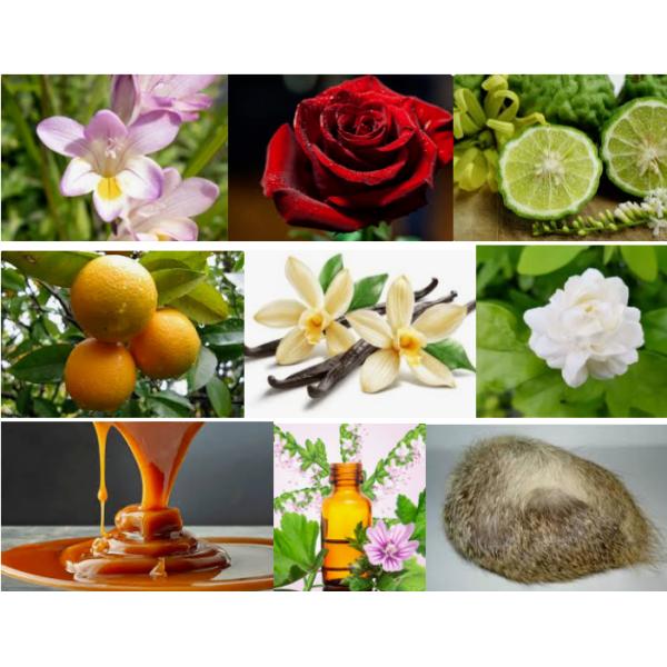 All Day Wear Zara Oriental Fragrance Essence Perfume Making Oil High Concentrate