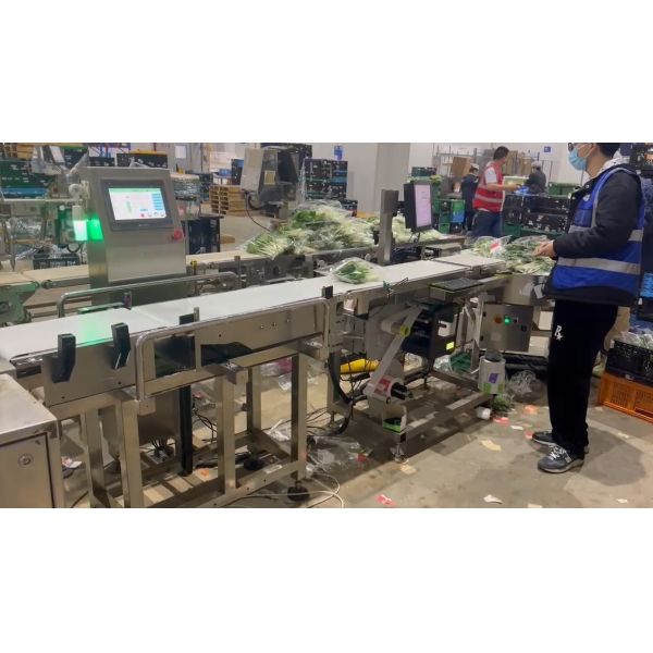 Automatic Dynamic Belt Conveyor Checkweigher Scales For Food Production Line