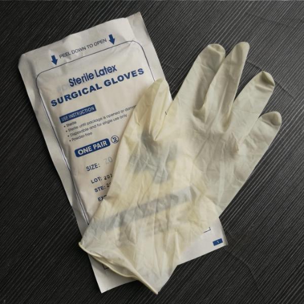 Cheapest price and superior quality Sterile Latex Surgical Glove/Medical Glove