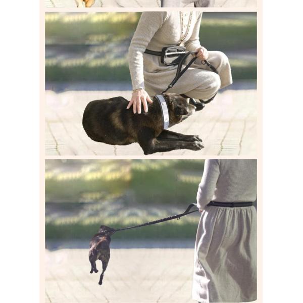 Домашние любимцы спортивные бега отражающий материал Leash Dog Double Handle Leash