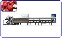 Machine d'évaluation automatique de dates rouges