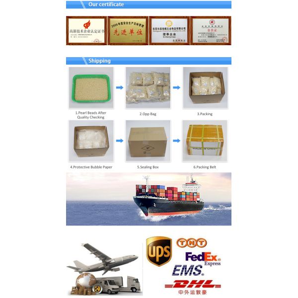 Luxury Gold Plated Men Bracelet