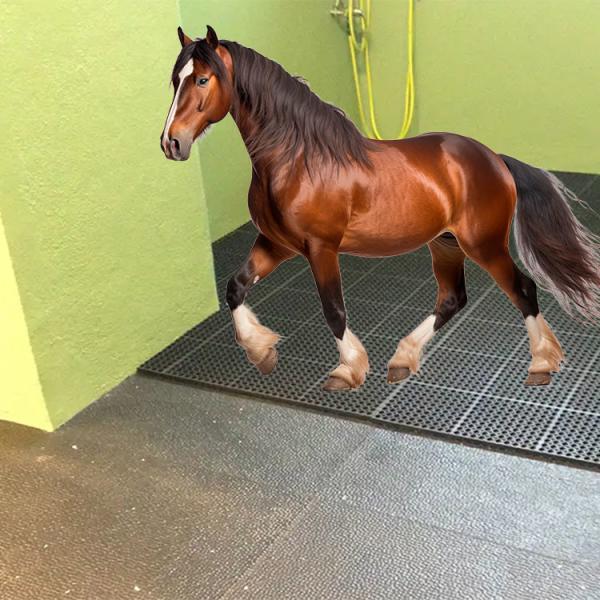 Mats For Horse Shower Make It Possible To Secure The Showering Areas Of The Horses