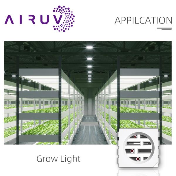 Learnew Custom 5050 0.5w инфракрасный светодиодный диод 0.2w 0.3w Smd Led Chip Бесплатные образцы